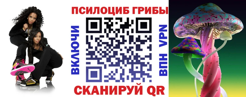Галлюциногенные грибы Psilocybine cubensis  Купить закладки  Злынка 